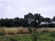 TERRENO URBANO EN URBANIZACIÓN EL SOL