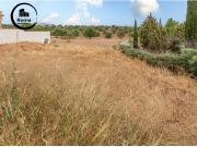 Terreno urbano en Venta en Albolote, Granada