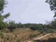 Terreno urbano en Venta en Benicàssim, Castellón
