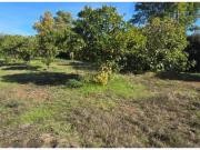 Terreno urbano en Venta en Espartinas, Sevilla