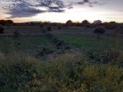 Terreno urbano en Venta en Santes Creus, Tarragona