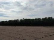 Terreno urbano en Venta en Sueca, Valencia