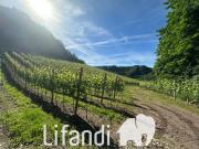 Terreno urbano in Vendita a Appiano sulla strada del vino