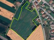 Terreno urbano in Vendita a Borgo Veneto