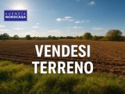 Terreno urbano in Vendita a Camponogara