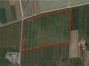 Terreno urbano in Vendita a Cascina