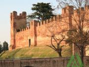 Terreno urbano in Vendita a Castelfranco Veneto