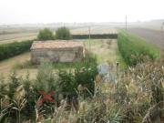 Terreno urbano in Vendita a Cavarzere