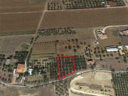 Terreno urbano in Vendita a Cepagatti