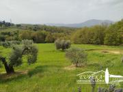 Terreno urbano in Vendita a Chiusi