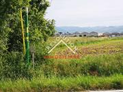 Terreno urbano in Vendita a Citt? di Castello