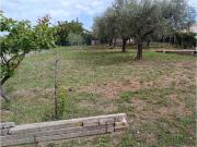Terreno urbano in Vendita a Citt? Sant'Angelo