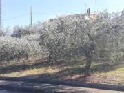 Terreno urbano in Vendita a Cupello