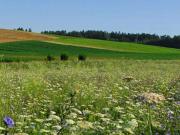 Terreno urbano in Vendita a Desenzano del Garda