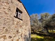 Terreno urbano in Vendita a Follo