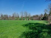 Terreno urbano in Vendita a Imola