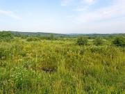 Terreno urbano in Vendita a Larciano