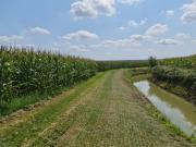 Terreno urbano in Vendita a Lendinara