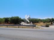 Terreno urbano in Vendita a Locorotondo