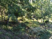 Terreno urbano in Vendita a Magione