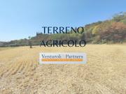 Terreno urbano in Vendita a Manerba del Garda