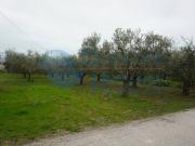 Terreno urbano in Vendita a Martinsicuro