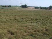 Terreno urbano in Vendita a Molinella