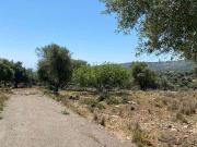 Terreno urbano in Vendita a Noto