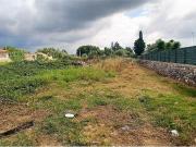 Terreno agricolo in Vendita a Noto