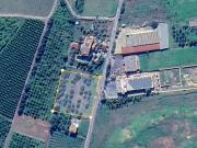 Terreno agricolo in Vendita a Palagonia