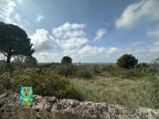 Terreno urbano in Vendita a Parabita