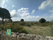 Terreno urbano in Vendita a Parabita