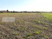 Terreno agricolo in Vendita a Quinto di Treviso