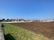 Terreno urbano in Vendita a Tezze sul Brenta