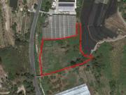 Terreno urbano in Vendita a Vallecrosia