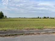 Terreno urbano in Vendita a Veggiano