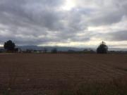 Terreno Urbano La Hoya, Lorca