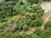 Terreno com localização privilegiada e vista maravilhosa
