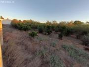 TERRENO URBANO NO CONSOLIDADO