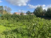 Terreno Urbano para construção de 3 moradias Azeitão