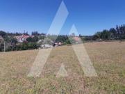 Terreno Urbano para Construção de Moradia nas Frias...