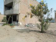 Terreno Urbano Plano En Calle Los Jazmines – Puente Piedra