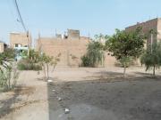 Terreno Urbano Plano En Puente Piedra – Calle Los Cocos,...