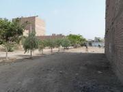 Terreno Urbano Plano En Puente Piedra – Calle Los Cocos...