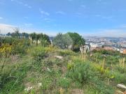 TERRENO URBANO RIO TINTO TERRENO URBANO RIO TINTO