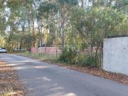 Terreno urbano todo murado para construo em Cruz da Lgua