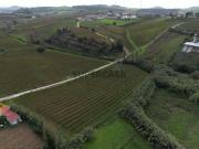 Terreno Urbano Ventosa