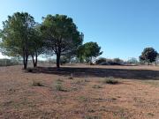 Terreno, Valdepeñas