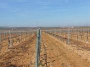 Terreno, Moral de Calatrava