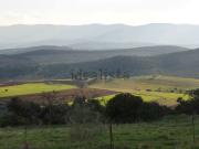 Terreno, Valdepeñas